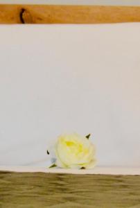 Harihara Guesthouse near Airport