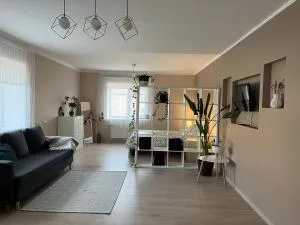 Palova Brown - Aizpute