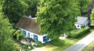 Droomboerderijtje - IJsselsteyn