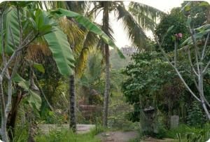 Sunset Jungle Villa by Rare Angon Ubud
