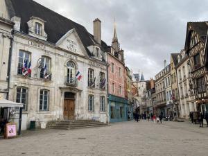 Appartements Le Philibert Roux Centre Ville d-Auxerre : photos des chambres