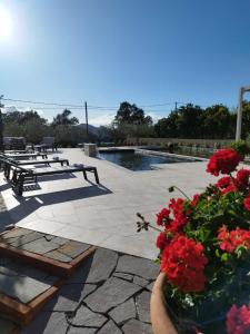 Casa Piredda Icore IUN R7749 img16