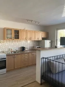 Apartmán se zahradou v Protivíně č.2 - Radomilice