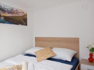 Studio Biokovo smaller object 22 m2