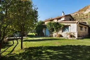 Abejas 2 de El Vergel de Chilla - Candeleda