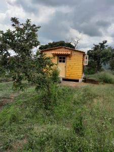 Cabaña Rustica Durango