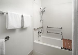 Double Suite with Sofa Bed room in SpringHill Suites Dallas Arlington North