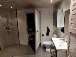 Villa Arctic Circle Rovaniemi