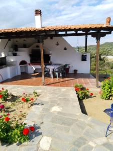 Mountain Top Eleochori Βουνοκορφή