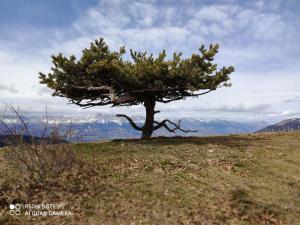Villas Ferme renovee dans les Ecrins. : photos des chambres