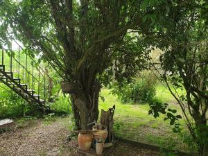 Maisons de vacances Maison de campagne - Cangey : photos des chambres