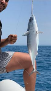 KUBA LuXus tour - Hotel boat in sahl Hashesh - Hurghada