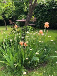 Kouzelná maringotka