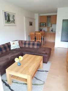 Sonnenblume - Obermaiselstein