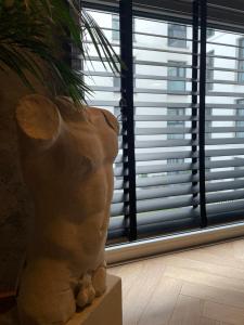 Apartament Gwiazda Renesansu