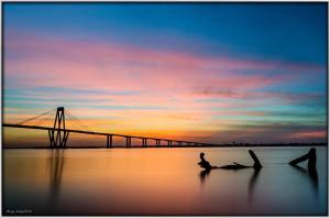 DEPARTAMENTO IMPERIAL VII