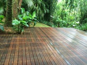 Adventure & Meditation Jungle Home