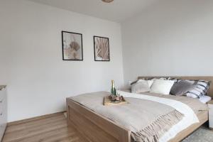 Útulný byt v centru města