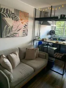 Euphorbia - Jaureguiberry