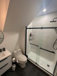 The Rozenvain Suite