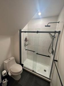 The Rozenvain Suite