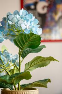 HOME@PORVENIR VFTSE03555