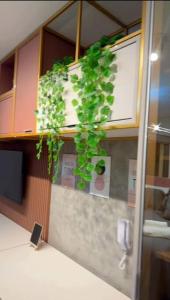 Studio Lindo na Vila Mariana