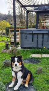 Gîte 4 étoiles La Belle Eau Calme