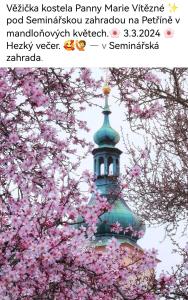 Centrum luxury nice wiew, theras