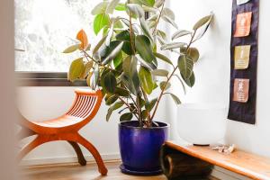 Brunswick Executive Apt 2BR with parking