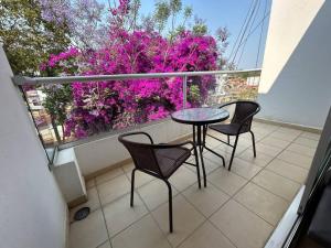 Departamento Lumina Sipeh Xalapa