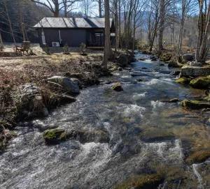 Mountain Majesty-Pickleball Court, Creek, WIFI, Mountain Views, Starting at 79" - Jenkins Mill