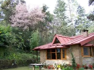 Snow View Cottage Kasardevi - Алмора