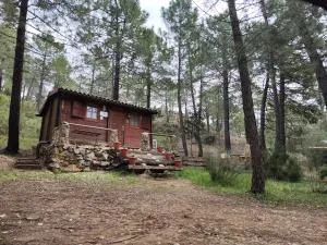 Cabaña los chorros - Venta de Mendoza