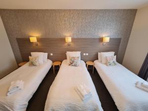 Hotels Logis Hotel Restaurant Clair Cottage, Chisseaux - Chenonceaux : Chambre Familiale