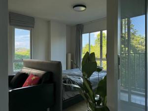 Bright and comfort apartment