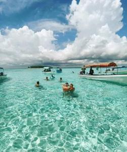 Mint hause