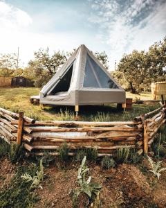 Glamping la lodola
