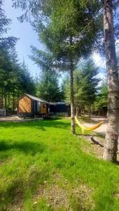 Tumba Sisli Vadi - Çavuşçiftliği