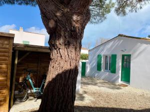 Maisons de vacances Calme et tranquillite -Ile de Re : photos des chambres