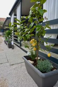 Mobile home Anita - Krmčina