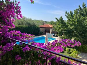 Apartments Maras