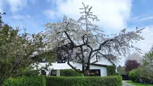 Sauerland-AlmWinterberg - Frankenberg