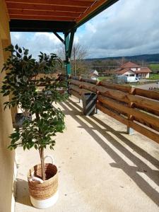 Le gîte de la Racine "La Verte Vallée"