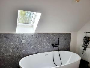 Gîte au Haras dAgathe et ses princes