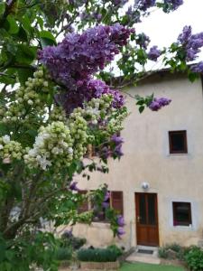 Maisons de vacances Maison de charme, 65km de Lyon, Haut Beaujolais. : photos des chambres