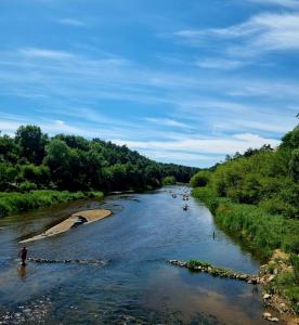 Chatka między brzozami nieopodal Wkry