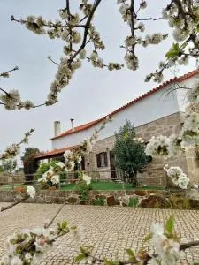 A Casa do Soito - Andorinha