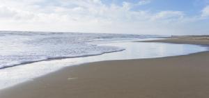 CHARMANT studio proche de la mer