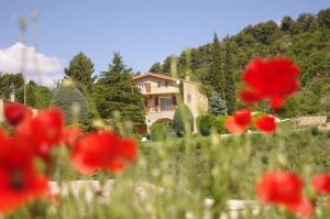 Maisons de vacances Le Seguret : photos des chambres